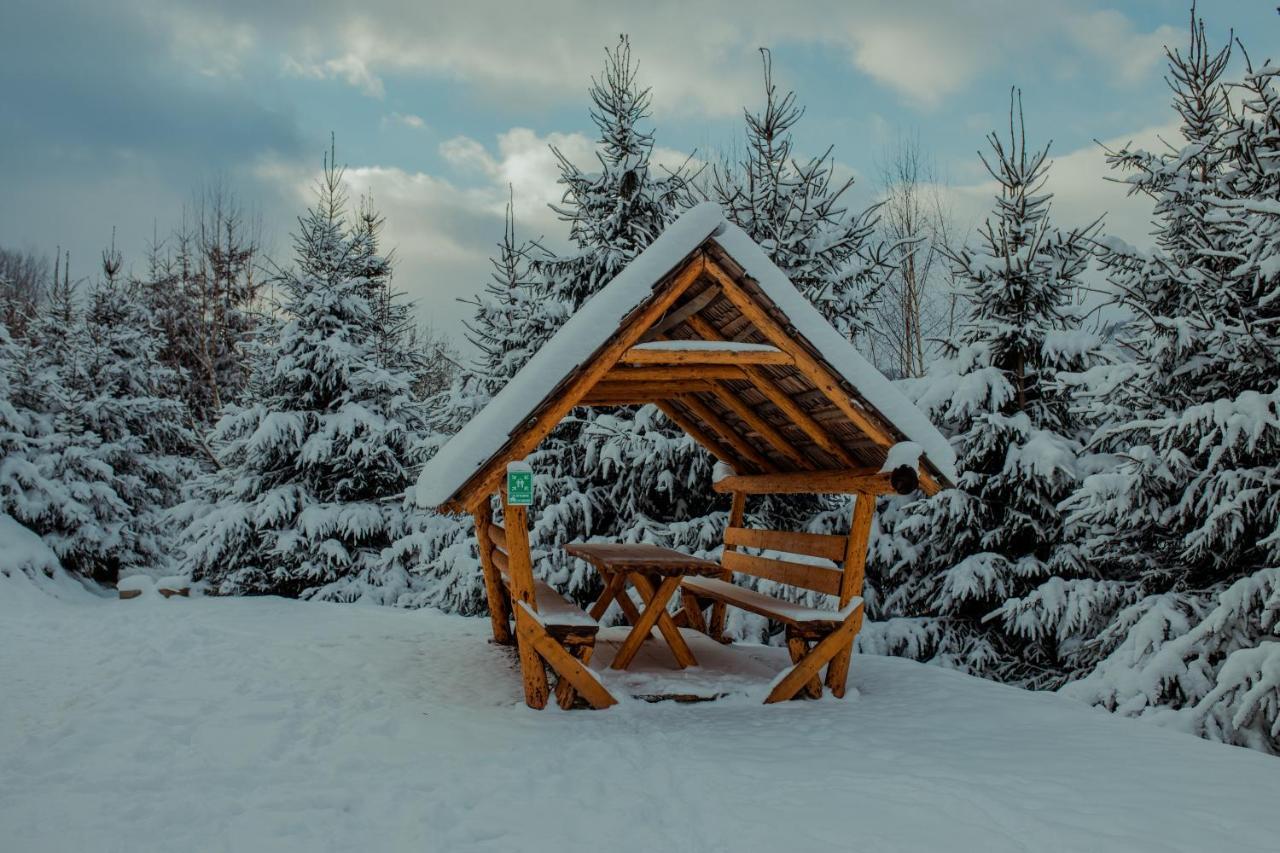 Conacul Drahneilor Hotel Ruscova ภายนอก รูปภาพ