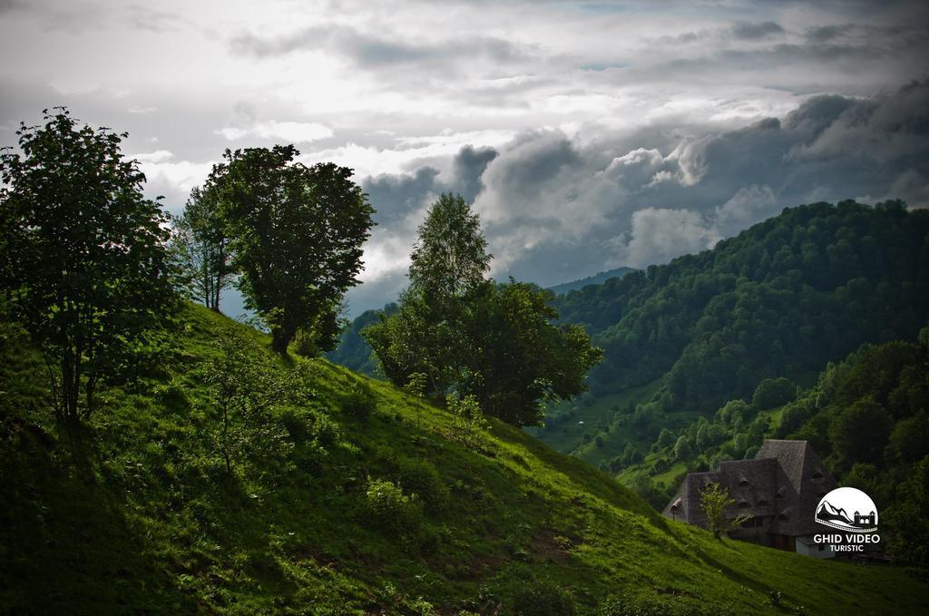 Conacul Drahneilor Hotel Ruscova ภายนอก รูปภาพ